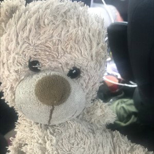 Teddy