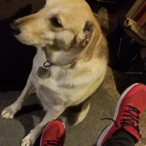Forty At My Feet