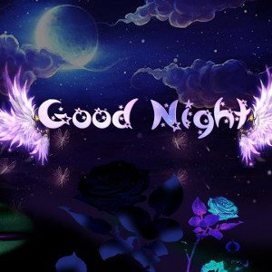 Panta Peter_-_ Midnight Fall