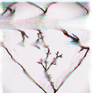 Desamor en mi corazón