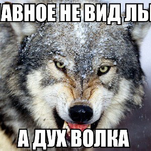 "Вдохновение"