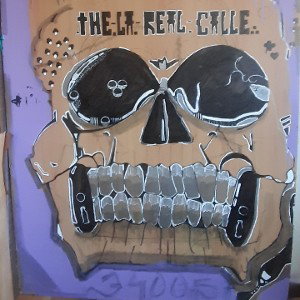 thelarealcalle desde el norte 148