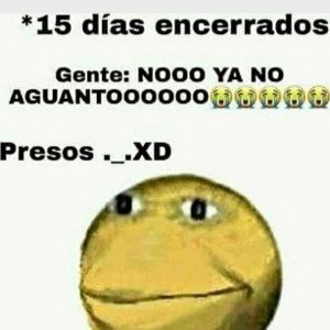 NO GRITEN!!
