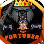postfortuberYT