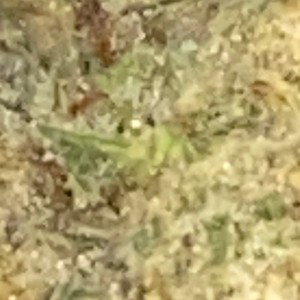 Teejayx6 - Dark Web (Official instrumental) Re prod. Trapboy3k