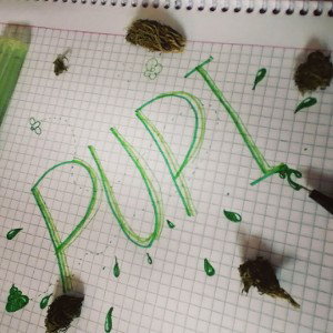 PUPI