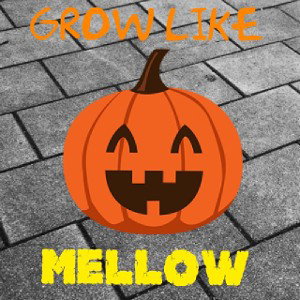 Lil-Fãck- Mellow