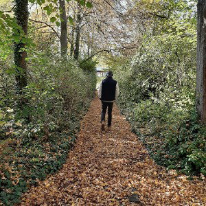 besserer Tag Turniertrack (Handyrecord)