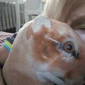 Нет, кот