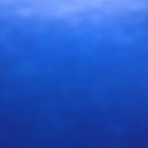 The Blue Trial