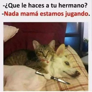 ritmo remix 