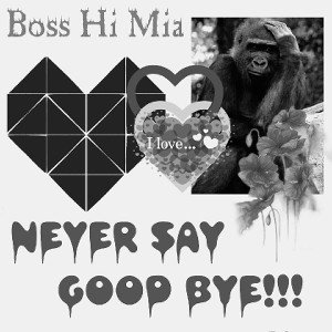 Never say good bye!