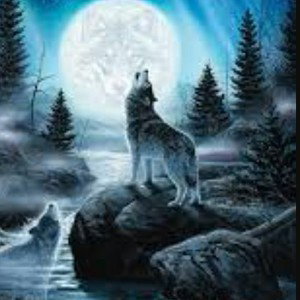 Leader of the pack(demo)