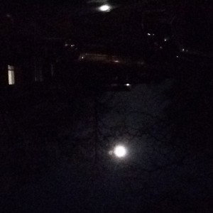 IN_THE_MOON_LIGHT