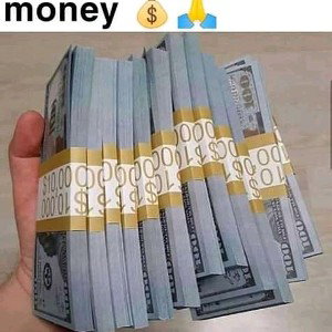 How many bitch's