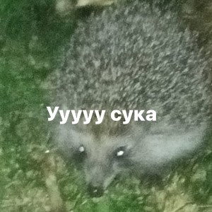 🤣🤣к бою готов 🤣🤣