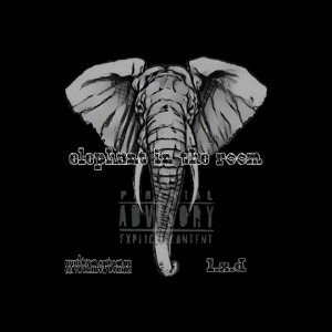 Elephant in the room