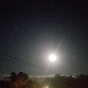 To the moon