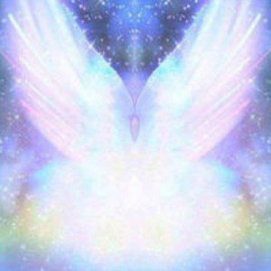 Ange 