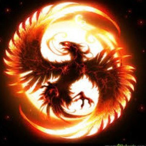 Ave Fenix