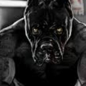its the king 