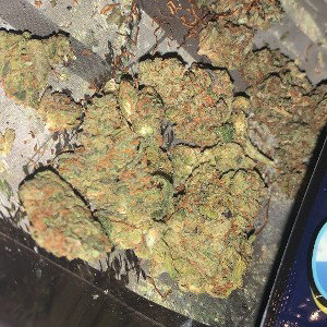 SMOKE (00:07:41)