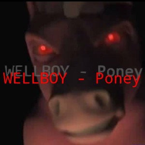 Poney Tunado