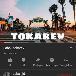 laba - tokarev