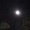 by tonight