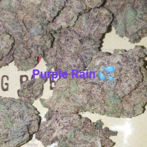 We Lit(rollin' piff)