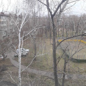 Мы в селе