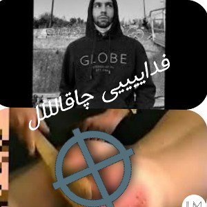 diss be fadaei