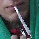 erba skunk