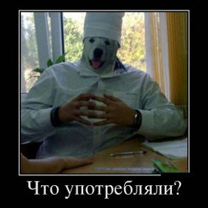 День Дурака!