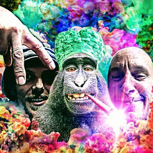freesyyrRaggae...gegen Rassismus auf Rapfame