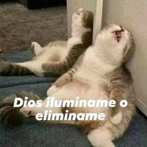 👻Esta Vida👻