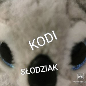 Cześć_Jestem_Kodi