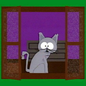 Bad Kitty !! 👋