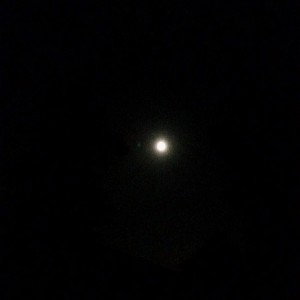 Guided by the Light of the Moon even when  Doomed~Chris Bell 