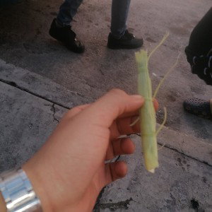 asi de repente 