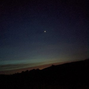 audioKøD7