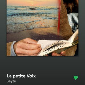 Cover La petite voix - Seyté