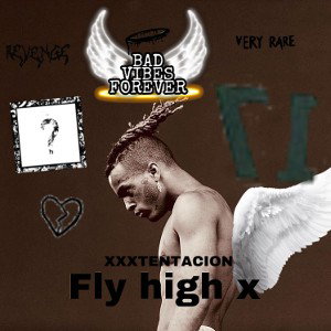 Rip x
