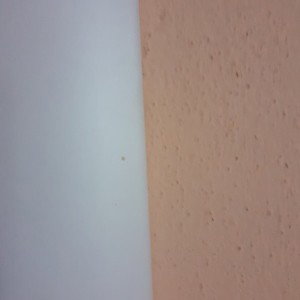 Suole/Contratto