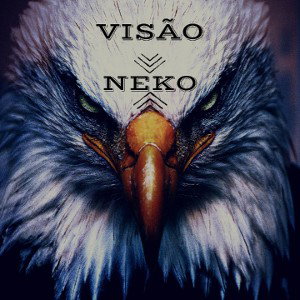 VISÃO