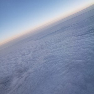 FLY