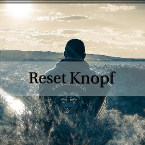 Reset Knopf