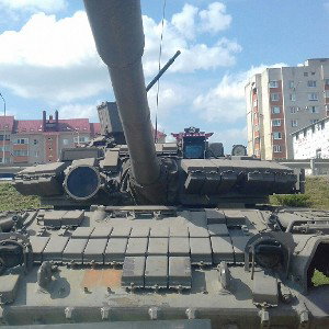 панты