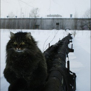 чувствуем МУЗ ТВ