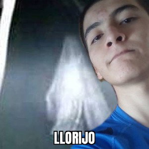 Llorijo. 